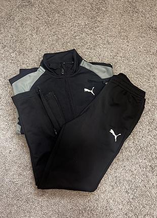 Костюм puma