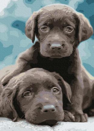 Картина за номерами цуценята собаки пси