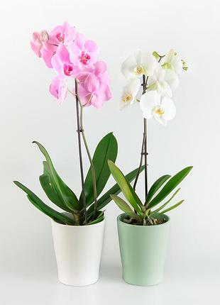 Горщик для квітів 9