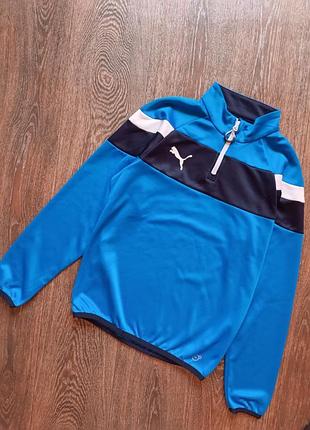 Лонг  puma