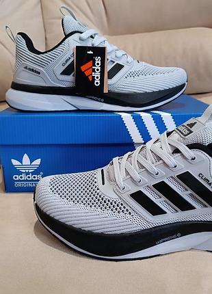 Мужские кроссовки adidas terrex gore-tex