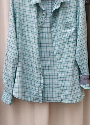 Чоловіча сорочка котон довгий рукав клітка