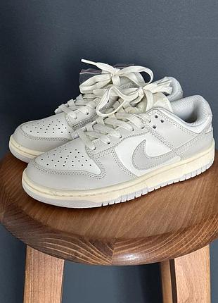 Sb dunk low grey fog кросівки nike