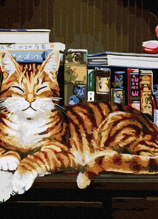Картина за номерами кіт книги