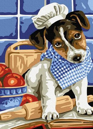 Картина за номерами собака кухар