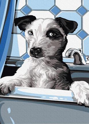 Картина по номерам собака пёс