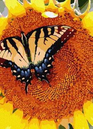Картина бабочка подсолнух