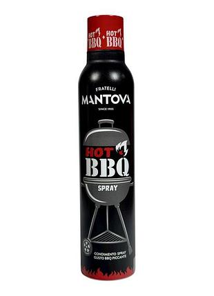 Приправа спрей mantova гострий bbq e hot bbq spray, 200 мл