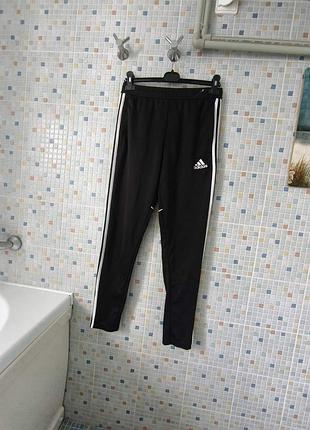 Спортивні штани adidas.