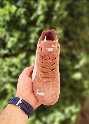 Puma speedcat og коричневі