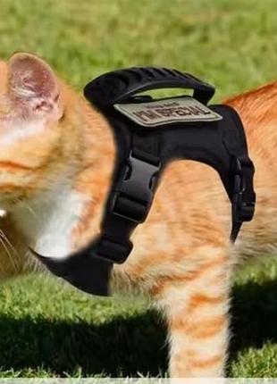 Шлея для котів та собак one size чорний