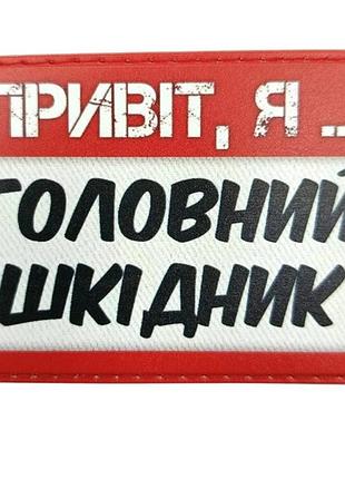 Шеврон привіт, я головний шкідник