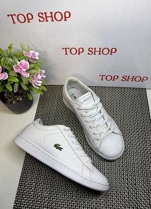 Оригінальні кросівки дитячі lacoste