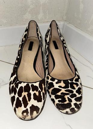 Жіночі туфлі з леопардовим принтом  topshop