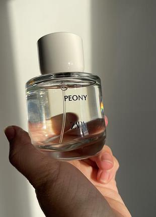 Zara peony