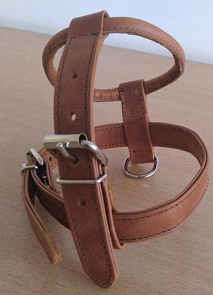 Шлея для собаки "lockdog" із закругленими краями hunter m