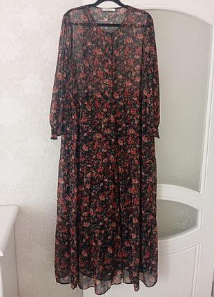 Mango violetta 10
