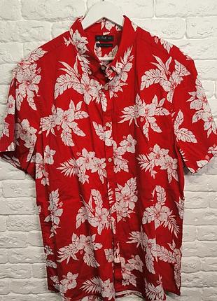 Сорочка яскрава бавовняна f&amp;f xxl