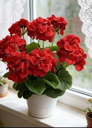 Искусственная пеларгония (герань) красного цвета.
