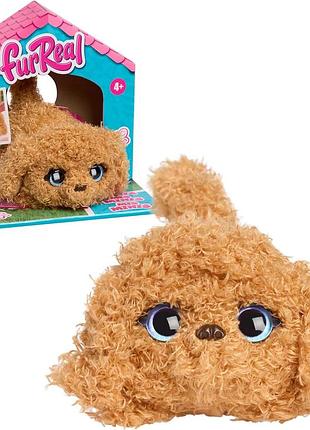 Furreal my minis golden doodle puppy 28147 hasbro інтерактивна іграшка золоте цуценя дудль
