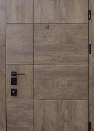 Входная страж terra s 950