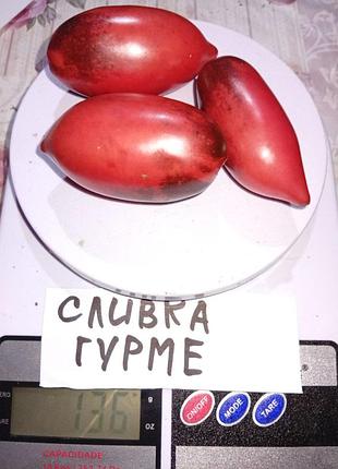 Насіння томату сливка гурман 15шт, колекційні насіння помідорів , семена томатов