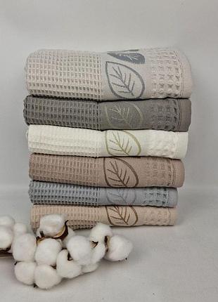 Набір рушників 6 шт philippus prime cotton 50x90 life waffle (a466)