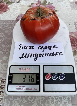 Насіння томату биче серце мінусінське 15шт, колекційні насіння помідорів , семена томатов