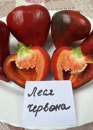 Насіння перцю леся червона, колекційне насіння перцю , семена перца