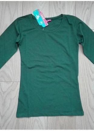 Базовый зеленый реглан