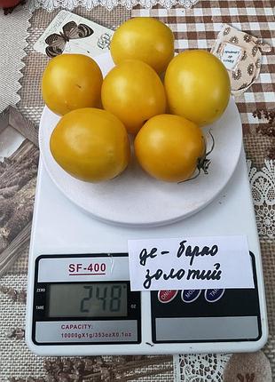 Насіння томату де-барао жовтий 15шт, колекційні насіння помідорів , семена томатов