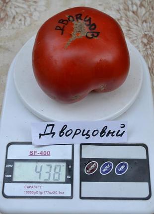 Насіння томату дворцовий 15шт, колекційні насіння помідорів , семена томатов