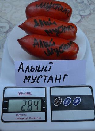Насіння томату алий мустанг 15шт, колекційні насіння помідорів , семена томатов