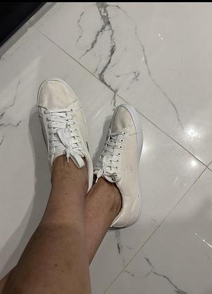 Кеды белые кроссовки lacoste білі кеди кросівки
