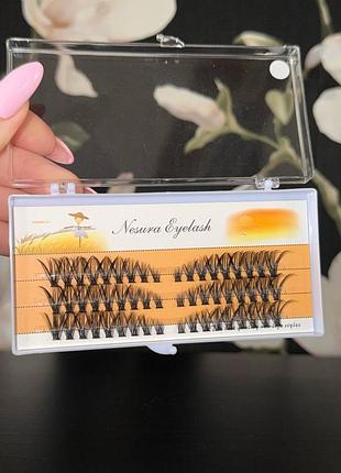Пучные ресницы nesura eyelash 40d - объемные пучки для наращивания