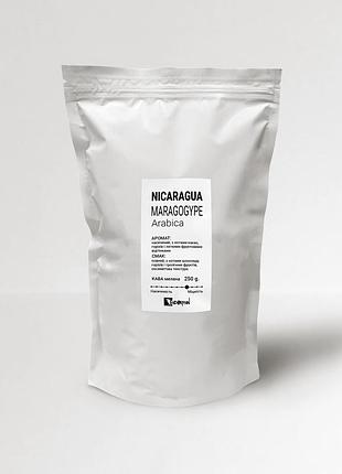 Nicaragua maragogype кофе молотый марагоджип никарагуа арабика 250 г свежеобжаренный кофе молотый моносорт