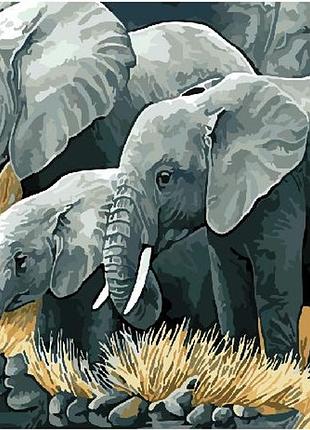 Картина по номерам слон