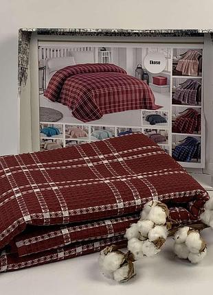 Піке philippus 160x220 ekose bordo