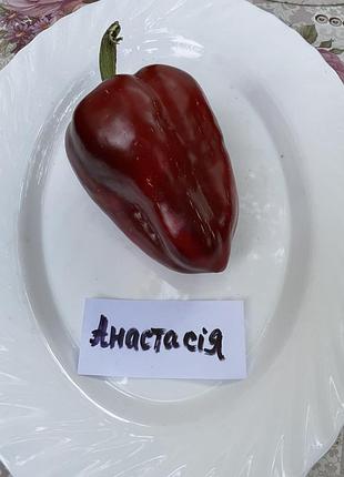 Насіння перцю анастасія , колекційне насіння перцю , семена перца
