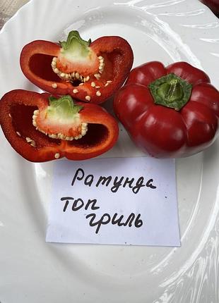 Насіння перцю топ гриль колекційне насіння перцю , семена перца