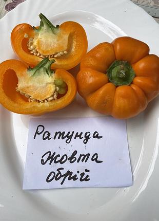 Насіння перцю ратунда жовтий обрій, колекційне насіння перцю , семена перца
