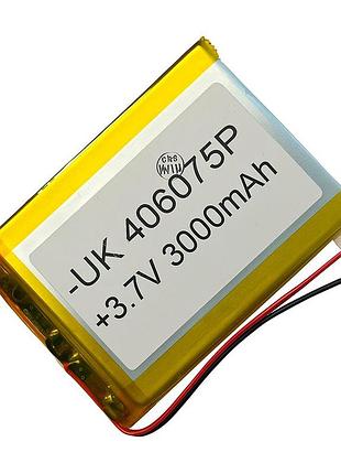 Аккумуляторная батарея 3000 mah (75х60х4)