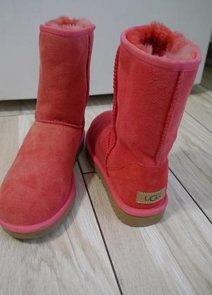 Жіночі оригінальні чоботи ugg