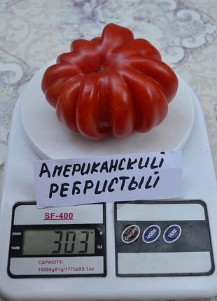 Насіння томату американський ребристий 15шт, колекційні насіння помідорів , семена томатов