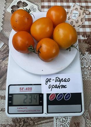 Насіння томату де-барао оранжевий 15шт, колекційні насіння помідорів , семена томатов