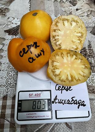 Насіння томату серце ашхабада 15шт, колекційні насіння помідорів , семена томатов
