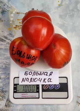 Насіння томату большая мамочка 15шт, колекційні насіння помідорів , семена томатов