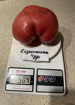 Насіння томату казахстанське чудо 15шт, колекційні насіння помідорів , семена томатов