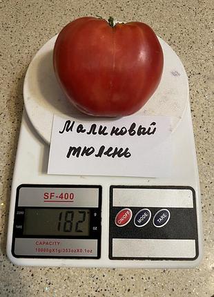 Насіння томату малиновеый тюлень 15шт, колекційні насіння помідорів , семена томатов