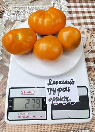 Насіння томату японський труфель оранжевий 15шт, колекційні насіння помідорів , семена томатов